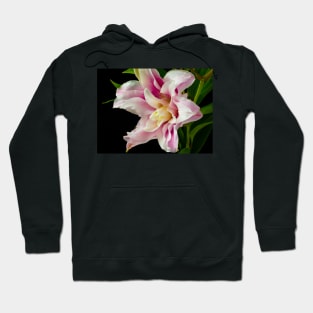 Pink And White Rose Lily Hoodie